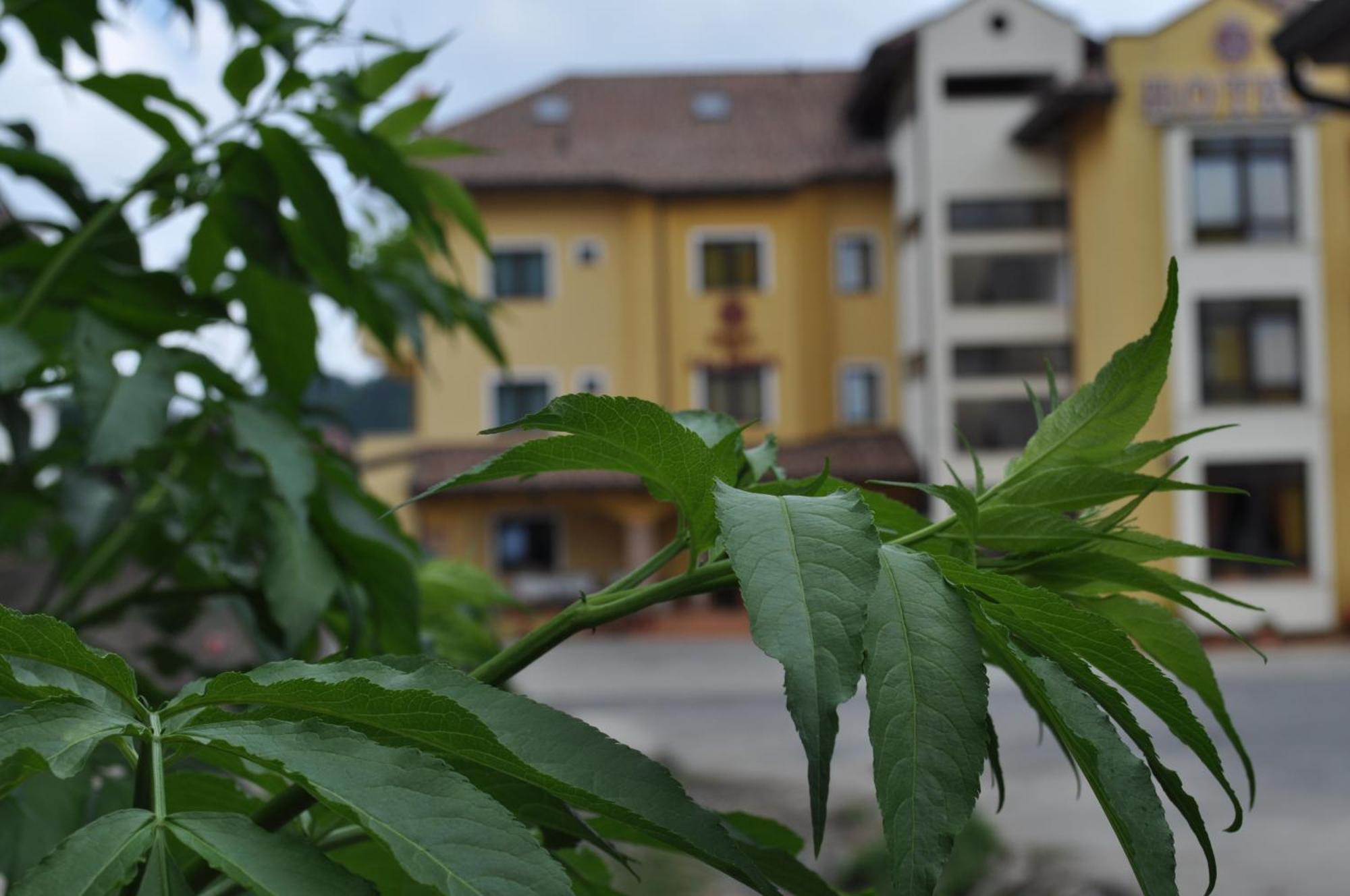 Hotel Duca Di Calabria Serra San Bruno Exterior foto